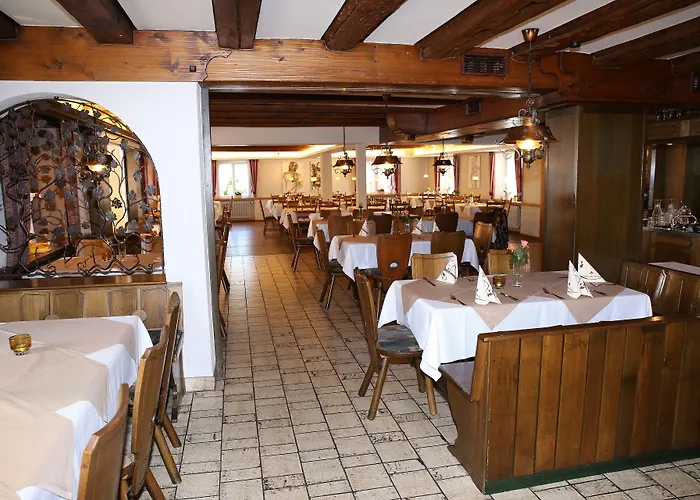 Penzion Landgasthof Kreuz 3*